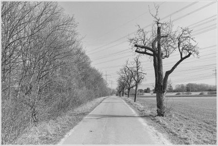Weg neben der Sudetenstraße