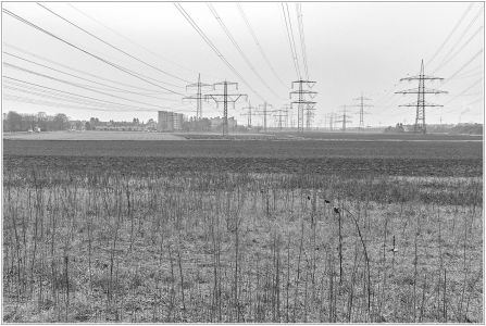 Blick über die Felder nach Ilvesheim