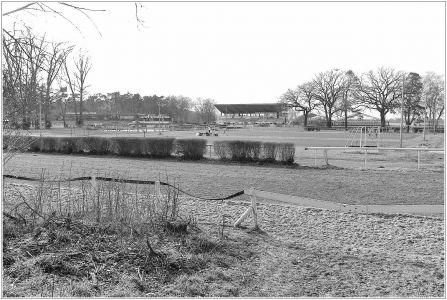 Waldrennbahn, Seckenheim