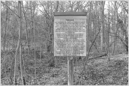 Kühbrunnenweg durch den unteren Dossenwald