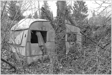 Hallenbuckel, Rheinau