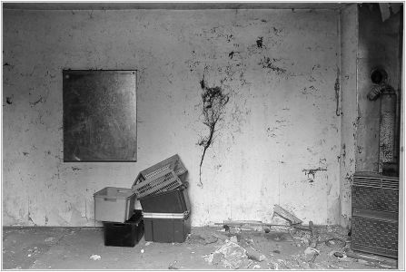 Hallenbuckel, Rheinau