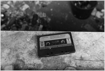 Hallenbuckel, Rheinau