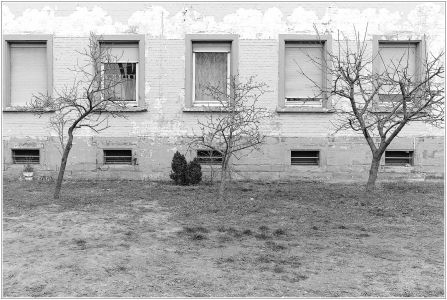 Hallenbuckel, Rheinau