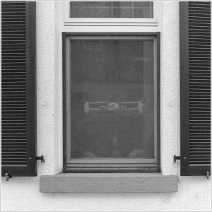 Adler Mannheim, Rheinau