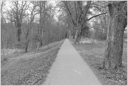 Waldpark, Niederfeld