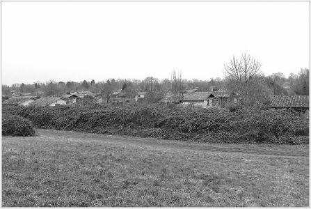 Kleingärtnerverein Mannheim Süd e.V.